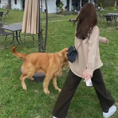 我们等待自由